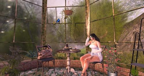 Web 5f6047ff289dd234208c6a79