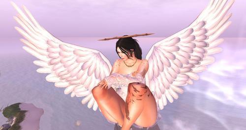 Web 5f604a4673ed175b29cda9e8