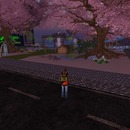 Thumb 53790927128cc910c4000001