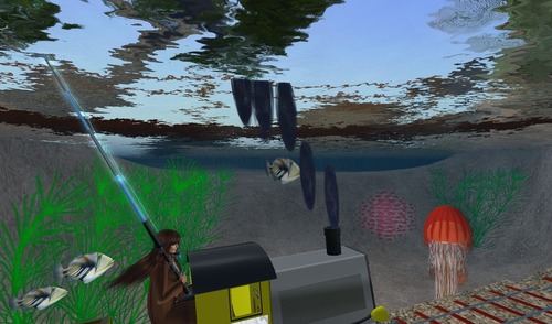 Web 50633fe137d4d35e9b000001