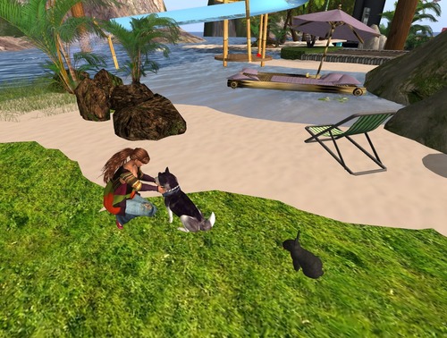 Web 537bd157a73e214017000001