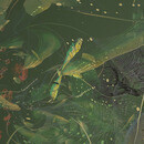 Thumb 67c652373ed4fb6b0af3f1c2