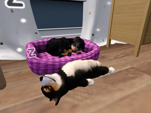 Web 67b2875c630f075dc059cc7c