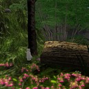 Thumb 51d144882dacbb74e7000001