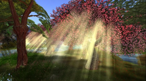 Web 519b85e4a11c0b1606000001