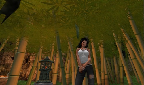 Web 526e0d2d865bed7ad4000001