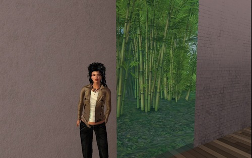 Web 5455cbe8f8a1ec51cd000001