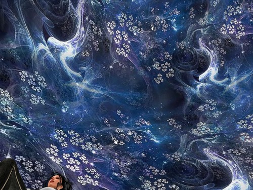 Web 5655e1c0f8a1ec6abf000001