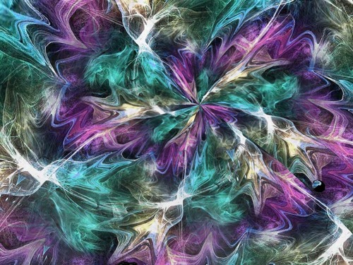 Web 5655e2b8f8a1ec70fc000001