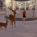 Thumb 565b1c6c128cc93e2f000001