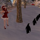 Thumb 565b1c98f8a1ec0b3a000001