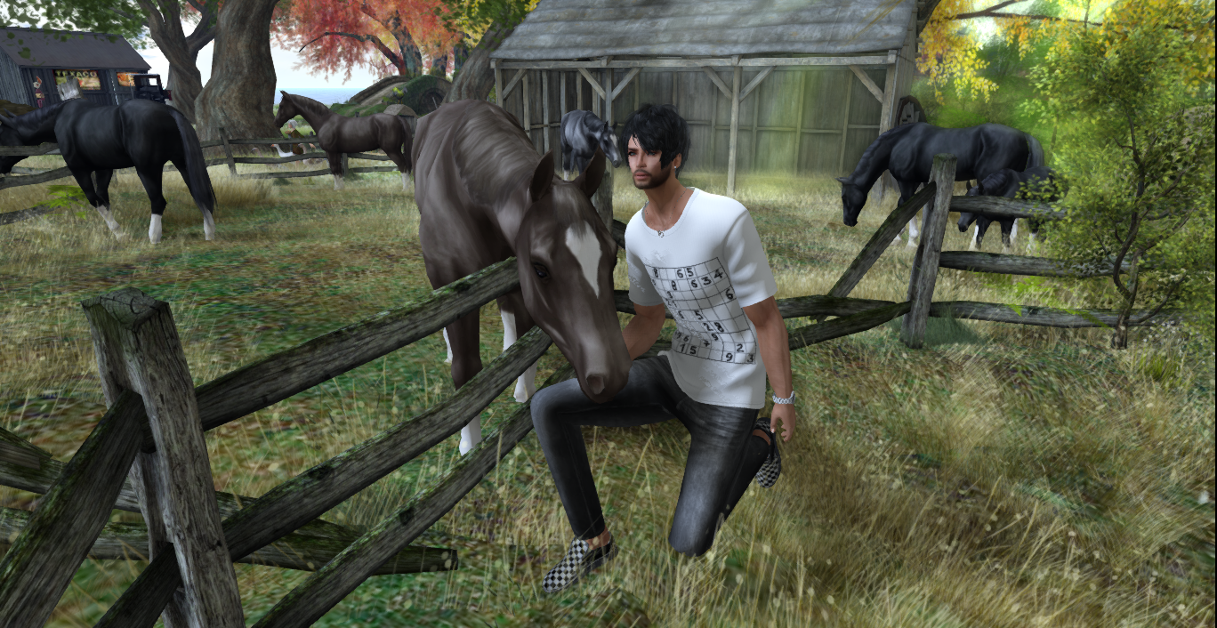 Original 558dc757f8a1ec0737000001