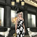 Thumb 573a3ac7f8a1ec62f7000001