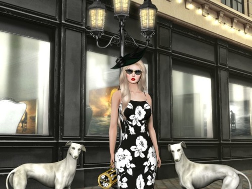 Web 573a3ac7f8a1ec62f7000001