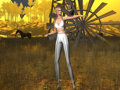 Web 577997dff8a1ec3d98000001