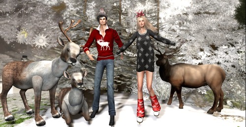 Web 584f0b19e85cda03a5000001