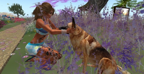 Web 508ec574c910ec2612000001