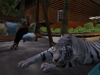 Small 554049e1f8a1ec2d1d000001