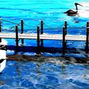 Thumb 58ecc63573ed176520000001