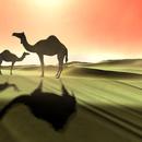 Thumb 591fe07c289dd2531e000001