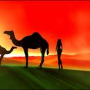 Thumb 591fe77d73ed172ed1000001