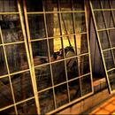 Thumb 59386d55d774f8348b000001