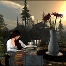 Thumb 5a8a7906289dd217bb000001