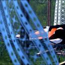 Thumb 5a973370d9859c24a2000001