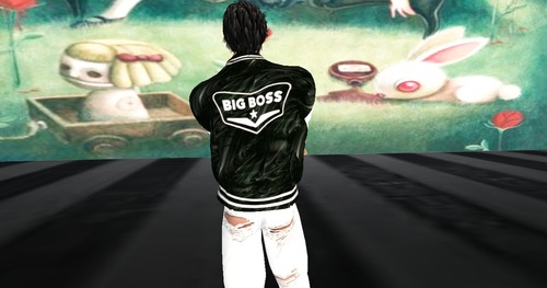 Web 55faff8d8da572309c000001