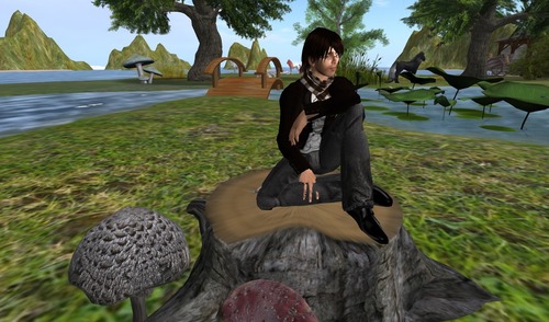 Web 5300e729a73e212e03000001