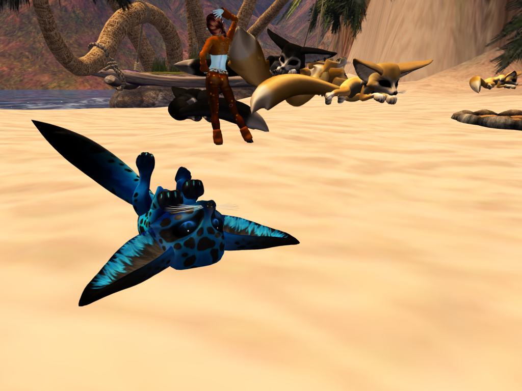 Original 5067519d1016ba5744000001