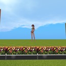 Thumb 5039763132cde80e45000001