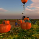 Thumb 505deeb0e771cb02dc000001