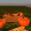 Thumb 505def6b171df9428d000001