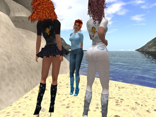 Web 504135b2f285385563000001