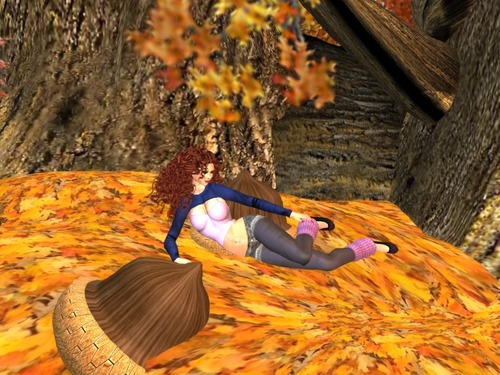 Web 504b6211bc0556323a000001