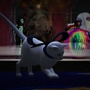 Thumb 526dc04225b5a33ac9000001