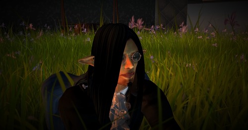 Web 4f4c4de9713c896d97000001