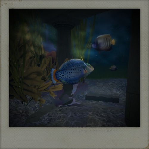 Web 4f83de1fb24a901d95000001