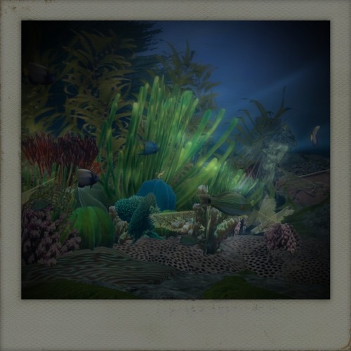 Web 4f83df3f834b63398b000001