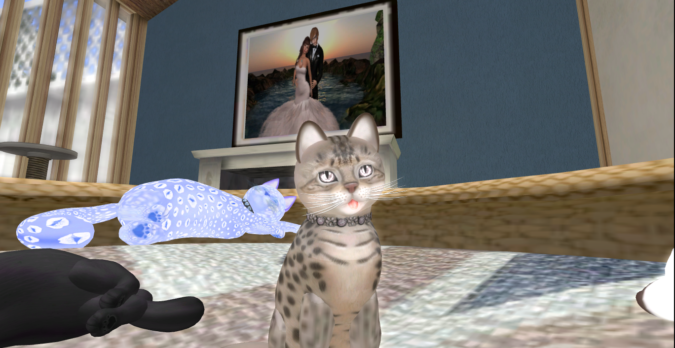 Original 526b7588e36e6b338a000001