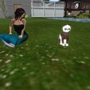 Thumb 524ddc393316df508f000001