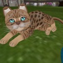 Thumb 524dfc4a99f52f0883000001