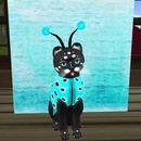 Thumb 52630dcdd6069a3aaf000001