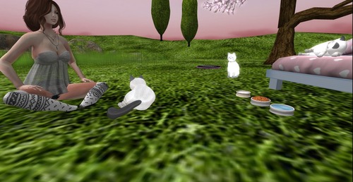 Web 522a02508b33090c94000001