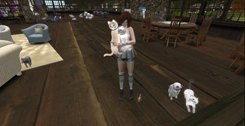 Web 522a4f1272b0b21d09000001