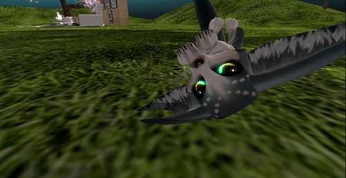 Web 522d9baaf79d3849cf000001