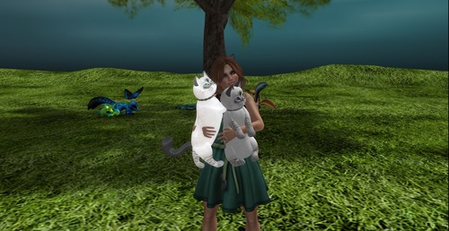 Web 523109d8f9898e25f0000001