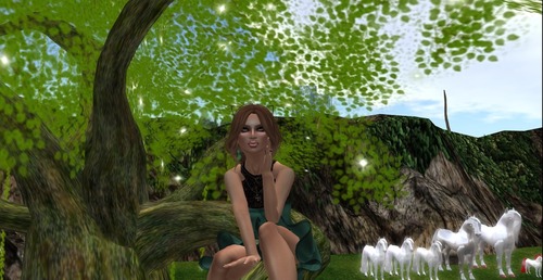 Web 5231dbef68fd446250000001