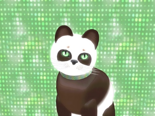 Web 52362971736b4e6288000001